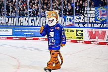 Eishockey, Herren, DEL, Penny DEL, Saison 2022-2023, Hauptrunde, Straubing Tigers - EHC Red Bull München, 47. Spieltag, 27.01.2023