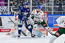 Eishockey, Herren, Penny DEL, 40. Spieltag, Saison 2023-2024, Straubing Tigers - Augsburger Panther,21.01.2024