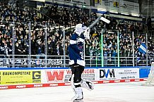 Eishockey, Herren, DEL, Saison 2021-2022, 39. Spieltag, Straubing Tigers - Grizzlys Wolfsburg,  18.02.2022