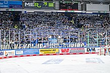 Eishockey, Men, DEL, Penny DEL, Hauptrunde Saison 2024-25, 1. Spieltag, Straubing Tigers - Düsseldorfer EG, 20.09.2024