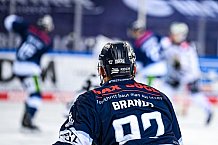 Eishockey, Herren, DEL, Saison 2021-2022, Panther, 21.12.2021