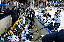 Eishockey, Herren, Penny-DEL, DEL, Saison 2022-2023, Hauptrunde, Straubing Tigers - ERC Ingolstadt Panther, 43. Spieltag, 15.01.2023