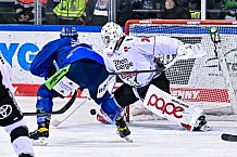 Eishockey, Herren, Penny DEL, DEL, Saison 2022-2023, Hauptrunde, Straubing Tigers - Kölner Haie, 29. Spieltag, 11.12.2022