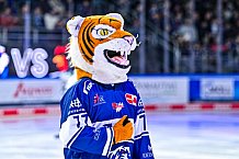 Eishockey, Herren, Penny DEL, 26. Spieltag, Saison 2023-2024, Straubing Tigers - Iserlohn Roosters,10.12.2023
