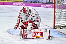 Herren, Eishockey, Oberliga-Süd, Saison 2022-2023, DEB, Deggendorfer SC - EV Herne Miners, Playoff, Viertelfinale, Spiel 4, 04.04.2023