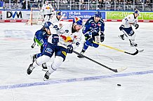Eishockey, Men, DEL, Penny DEL, Hauptrunde Saison 2024-25, 4. Spieltag, Straubing Tigers - EHC Red Bull München, 29.09.2024