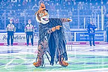 Eishockey, Herren, DEL, Saison 2022-2023, Hauptrunde, Straubing Tigers - Düsseldorfer EG, 17. Spieltag, 30.10.2022