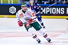 Eishockey, Herren, CHL, Champions Hockey League, Saison 2022-2023, Achtelfinale, Straubing Tigers - Frölunda HC Göteborg, Rückspiel, 22.11.2022
