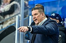 Eishockey, Herren, Penny DEL, 17. Spieltag, Saison 2023-2024, Straubing Tigers - EHC Red Bull Muenchen,03.11.2023