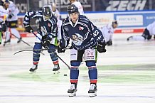 Eishockey, Herren, DEL, Saison 2020-2021, Straubing Tigers - EHC Red Bull München, 22.02.2021