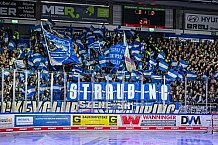 Eishockey, Herren, Penny DEL, Playoffs, Halbfinale, Spiel 2, Saison 2023-2024, Straubing Tigers - Eisbären Berlin, n03.04.2024