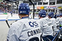 Eishockey, Herren, Penny DEL, Saison 2024-2024, Showtraining, 24.08.2024