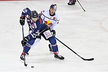 Eishockey, Herren, DEL, Saison 2020-2021, Straubing Tigers - EHC Red Bull München, 22.02.2021