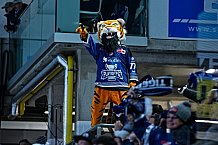 Eishockey, Herren, Penny DEL, Playoffs, Viertelfinale, Spiel 1, Saison 2023-2024, Straubing Tigers - Schwenninger Wild Wings,16.03.2024