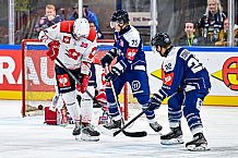 Eishockey, Men, CHL, Champions Hockey League, Regular Saison 2024-25, Game Day 4, Straubing Tigers - Dynamo Pardubice, 15.09.2024