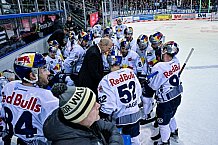 Eishockey, Herren, DEL, Penny DEL, Saison 2022-2023, Hauptrunde, Straubing Tigers - EHC Red Bull München, 47. Spieltag, 27.01.2023