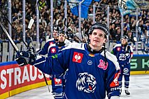 Eishockey, Men, CHL, Champions Hockey League, Regular Saison 2024-25, Game Day 4, Straubing Tigers - Dynamo Pardubice, 15.09.2024