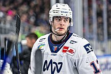 Eishockey, Herren, Penny DEL, 32. Spieltag, Saison 2023-2024, Straubing Tigers - Adler Mannheim,28.12.2023