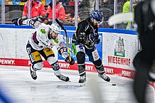 Eishockey, Herren, Penny DEL, 50. Spieltag, Saison 2023-2024, Straubing Tigers - Eisbären Berlin,01.03.2024