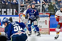 Eishockey, Men, DEL, Penny DEL, Hauptrunde Saison 2024-25, 1. Spieltag, Straubing Tigers - Düsseldorfer EG, 20.09.2024