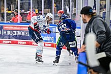 Eishockey, Men, DEL, Penny DEL, Hauptrunde Saison 2024-25, 8. Spieltag, Straubing Tigers - Adler Mannheim, 11.10.2024