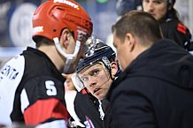 Eishockey, Herren, DEL, Saison 2020 2021, Straubing Tigers - ERC Ingolstadt, 31.01.2021