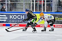 Eishockey, Herren, Penny DEL, 22. Spieltag, Saison 2023-2024, Straubing Tigers - Fischtown Pinguins Bremerhaven,26.11.2023