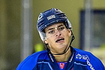 Eishockey, DEL, Penny-DEL, Vorbereitung, Straubing Tigers - Steinbach Black Wings Linz, 25.08.2022