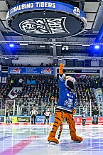 Eishockey, Herren, Penny DEL, Playoffs, Viertelfinale, Spiel 5, Saison 2023-2024, Straubing Tigers - Schwenninger Wild Wings,26.03.2024