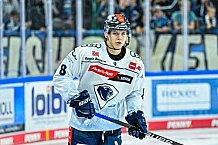 Eishockey, Herren, Penny DEL, 8. Spieltag, Saison 2023-2024, Straubing Tigers - ERC Ingolstadt,06.10.2023