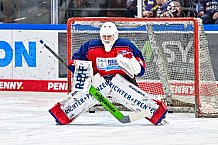 Eishockey, Herren, Penny DEL, 34. Spieltag, Saison 2023-2024, Straubing Tigers - Augsburger Panther,03.01.2024