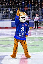 Eishockey, Herren, Penny-DEL, DEL, Saison 2022-2023, Hauptrunde, Straubing Tigers - ERC Ingolstadt Panther, 43. Spieltag, 15.01.2023