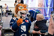 Eishockey, Herren, DEL, Penny DEL, Saison 2022-2023, Straubing Tigers, Saisonabschlußfeier, 01.04.2023