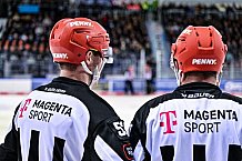 Eishockey, Herren, Penny DEL, DEL, Saison 2022-2023, Hauptrunde, Straubing Tigers - Kölner Haie, 29. Spieltag, 11.12.2022