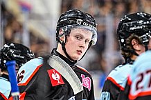 Eishockey, Men, CHL, Champions Hockey League, Regular Saison 2024-25, Game Day 1, Straubing Tigers - SonderjyskE Vojens, 06.09.2024