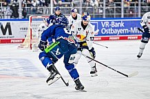 Eishockey, Men, DEL, Penny DEL, Hauptrunde Saison 2024-25, 4. Spieltag, Straubing Tigers - EHC Red Bull München, 29.09.2024