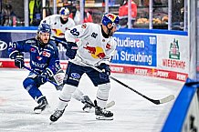 Eishockey, Men, DEL, Penny DEL, Hauptrunde Saison 2024-25, 4. Spieltag, Straubing Tigers - EHC Red Bull München, 29.09.2024