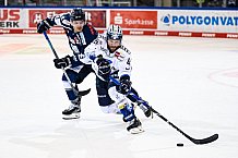 Eishockey, Herren, DEL, Saison 2021-2022, Panther, 17.09.2021