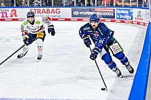 Eishockey, Men, DEL, Penny DEL, Hauptrunde Saison 2024-25, 5. Spieltag, Straubing Tigers - Eisbären Berlin, 01.10.2024