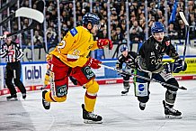 Eishockey, Herren, Penny DEL, 20. Spieltag, Saison 2023-2024, Straubing Tigers - Duesseldorfer EG,19.11.2023