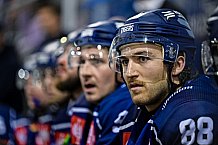 Eishockey, CHL, Champions Hockey League, 3. Spieltag, Saison 2022-2023, Gruppe F, Straubing Tigers - Comrach Cracovia, 09.09.2022
