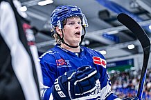 Eishockey, Herren, DEL, Penny DEL, Vorbereitung, Gäubodencup 2023, Saison 2023-2024, Straubing Tigers - Nürnberg Ice Tigers,18.08.2023