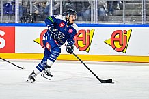 Eishockey, Men, CHL, Champions Hockey League, Regular Saison 2024-25, Game Day 4, Straubing Tigers - Dynamo Pardubice, 15.09.2024