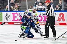 Eishockey, Herren, Penny DEL, Playoffs, Halbfinale, Spiel 2, Saison 2023-2024, Straubing Tigers - Eisbären Berlin, n03.04.2024