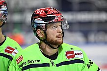 Eishockey, Herren, DEL, Saison 2020 2021, Straubing Tigers - ERC Ingolstadt, 31.01.2021
