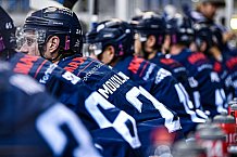 Eishockey, Herren, DEL, Saison 2021-2022, Straubing Tigers - Adler Mannheim, 10.09.2021
