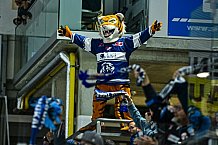 Eishockey, Herren, Penny DEL, 5. Spieltag, Saison 2023-2024, Straubing Tigers - EHC Red Bull Muenchen,29.09.2023