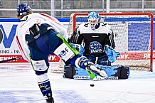 Eishockey, Herren, DEL, Penny DEL, Saison 2023-2024, Straubing Tigers, 04.08.2023