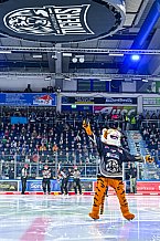 Eishockey, Herren, Penny DEL, 34. Spieltag, Saison 2023-2024, Straubing Tigers - Augsburger Panther,03.01.2024