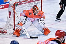 Eishockey, Herren, Penny DEL, DEL, Saison 2022-2023, Playoffs, Viertelfinale, Spiel 1, Straubing Tigers - Grizzlys Wolfsburg, 14.03.2023